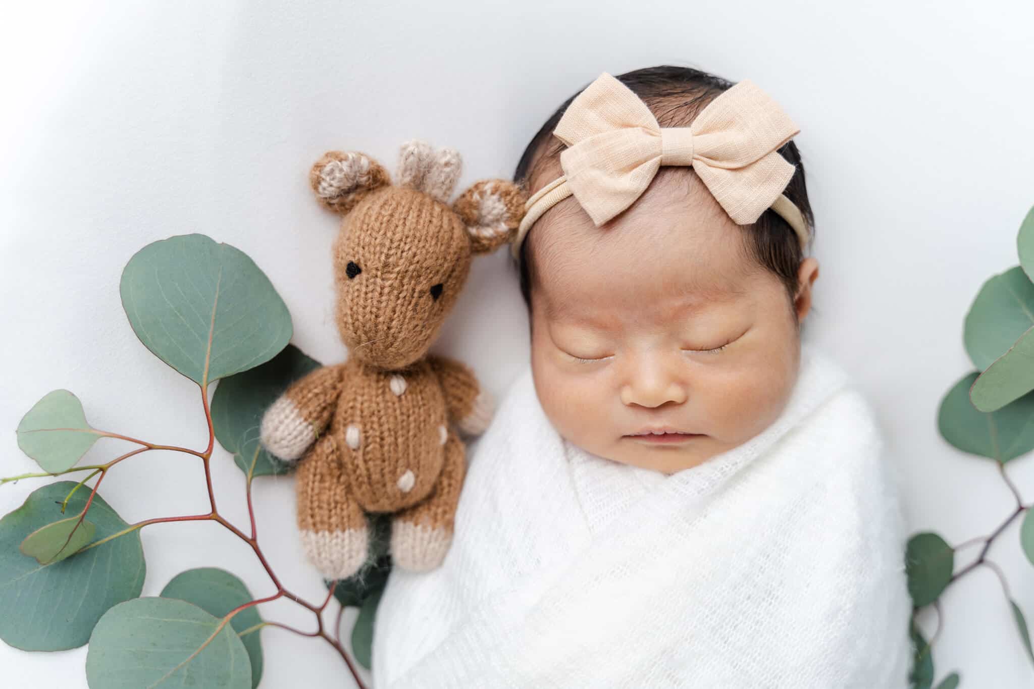 Newborn baby sleeping with a plush animal and Eucalyptus leaves on the side.