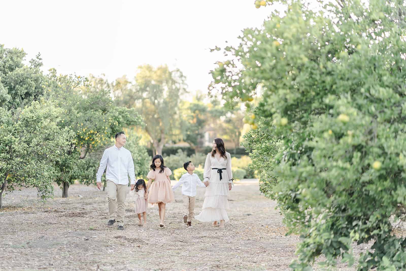 A mom and dad hold hands with their three young children as they walk through an orange grove after attending Irvine Chinese School