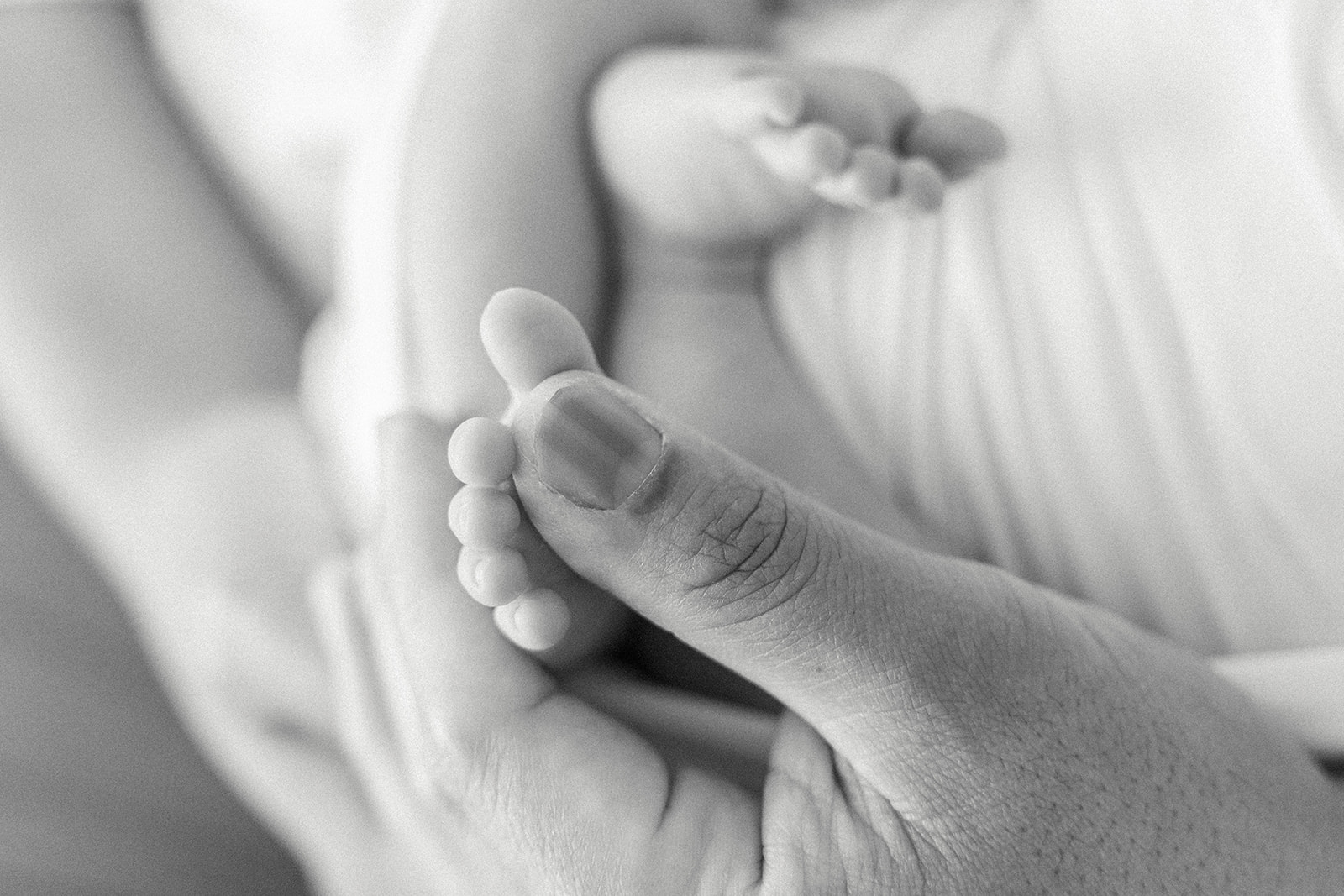 Details of a newborn baby's feet in mom's fingers