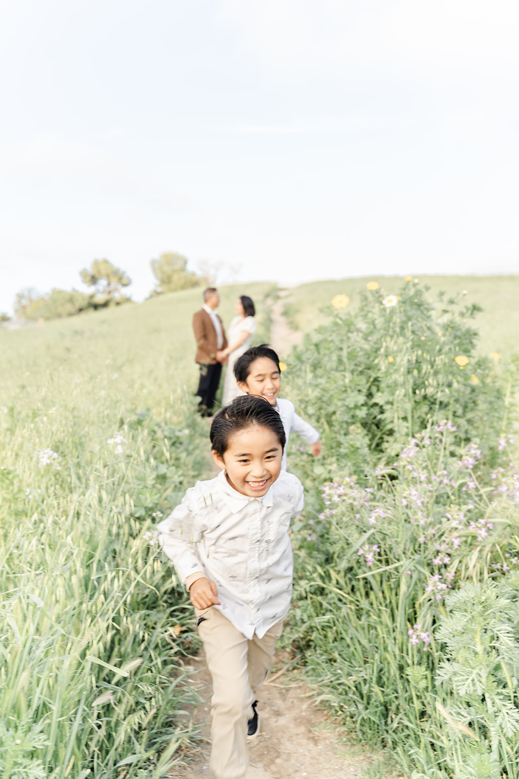 Two young brothers run through a trail on a hill of wildflowers while mom and dad stand behind them before visiting Great Wolf Lodge Anaheim