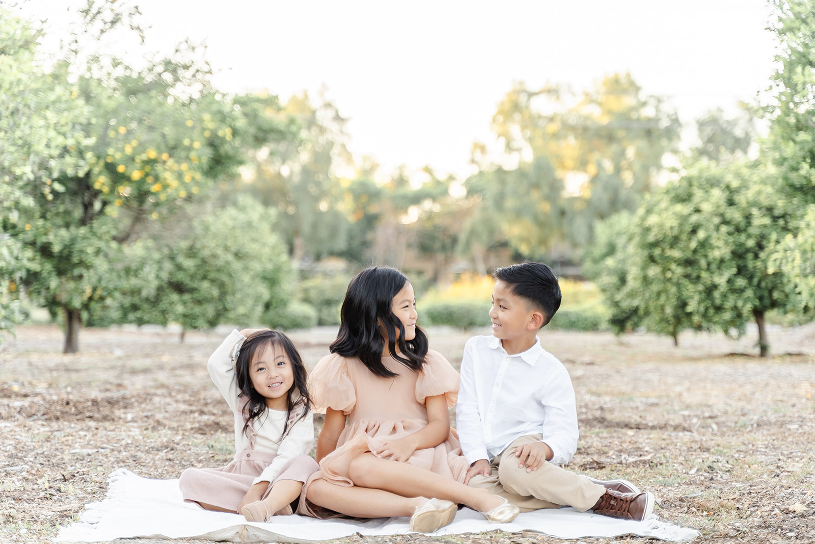 Three siblings sit on a picnic blanket in an orange grove at sunset