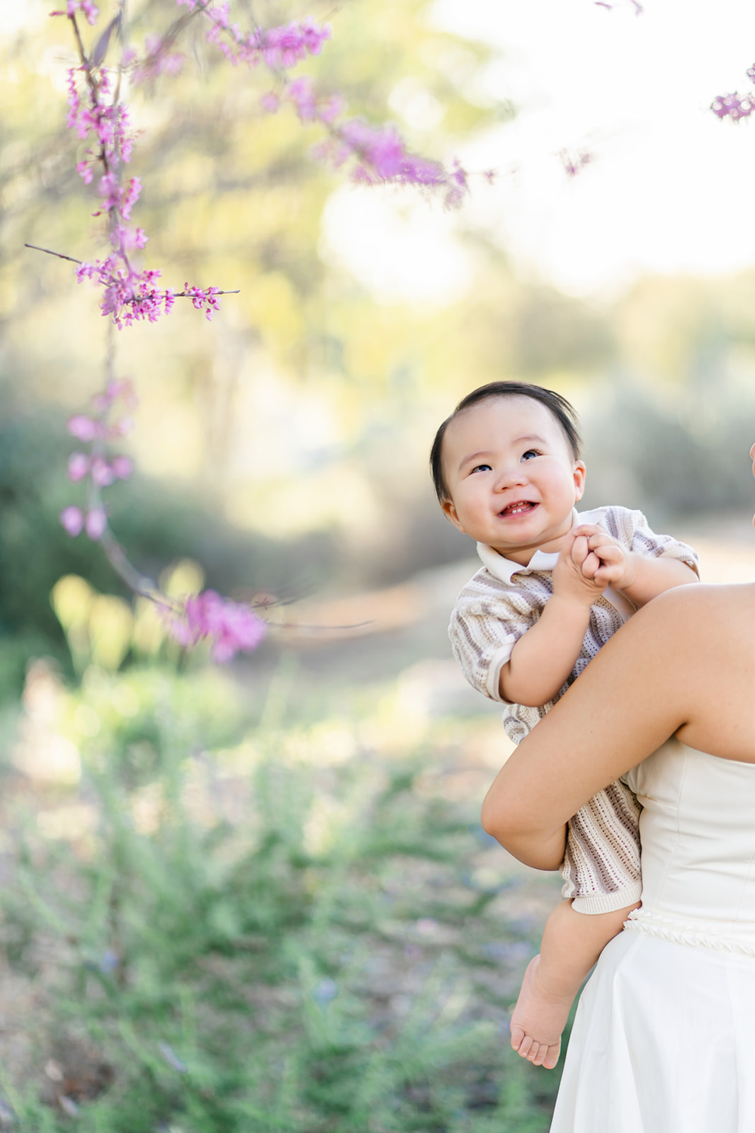 A happy baby in mom's arms looking up to rosebuds in a tree in a park at sunset