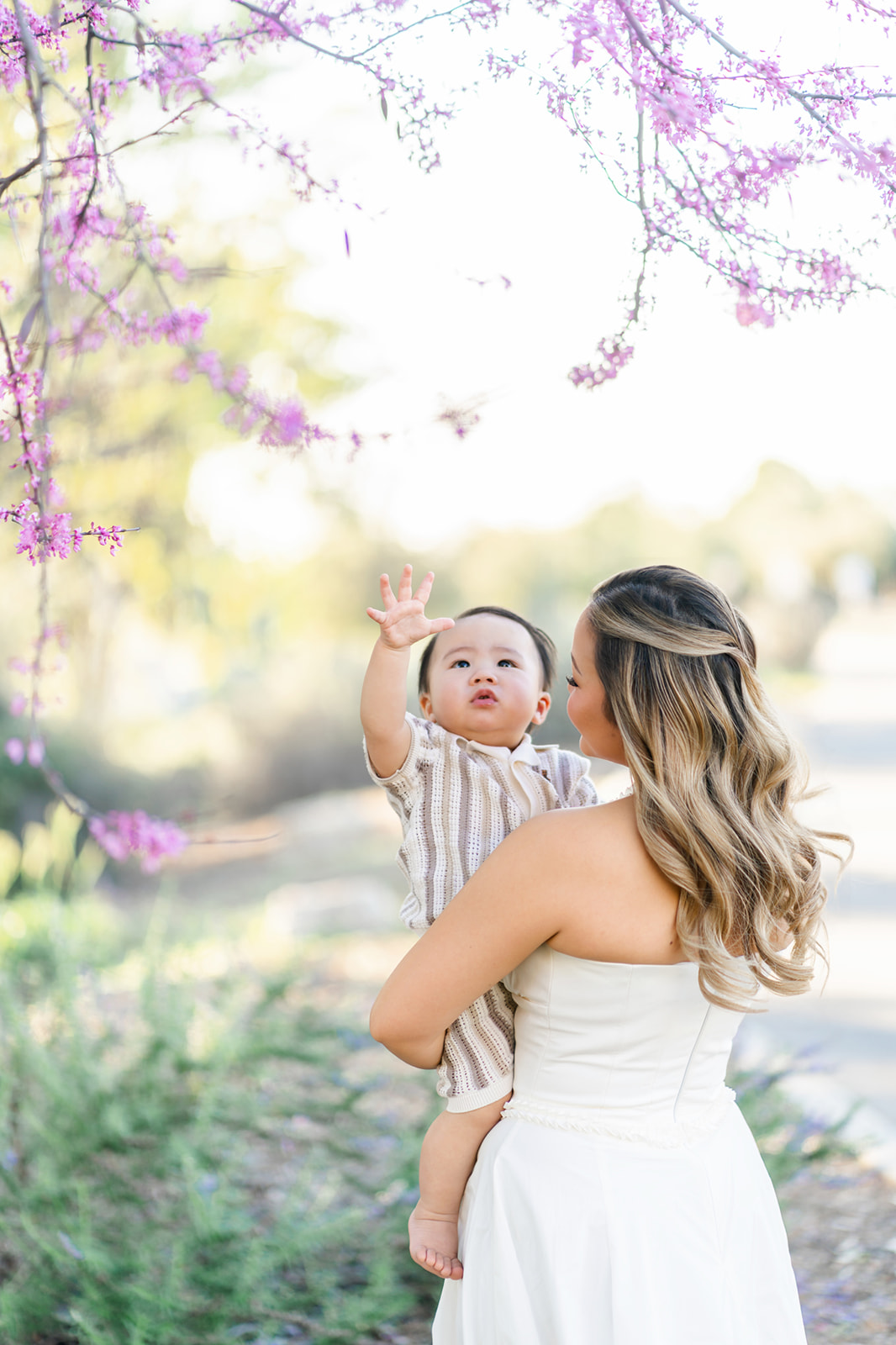 A baby in mom's arms reaches for some pink buds in a tree in a park at sunset