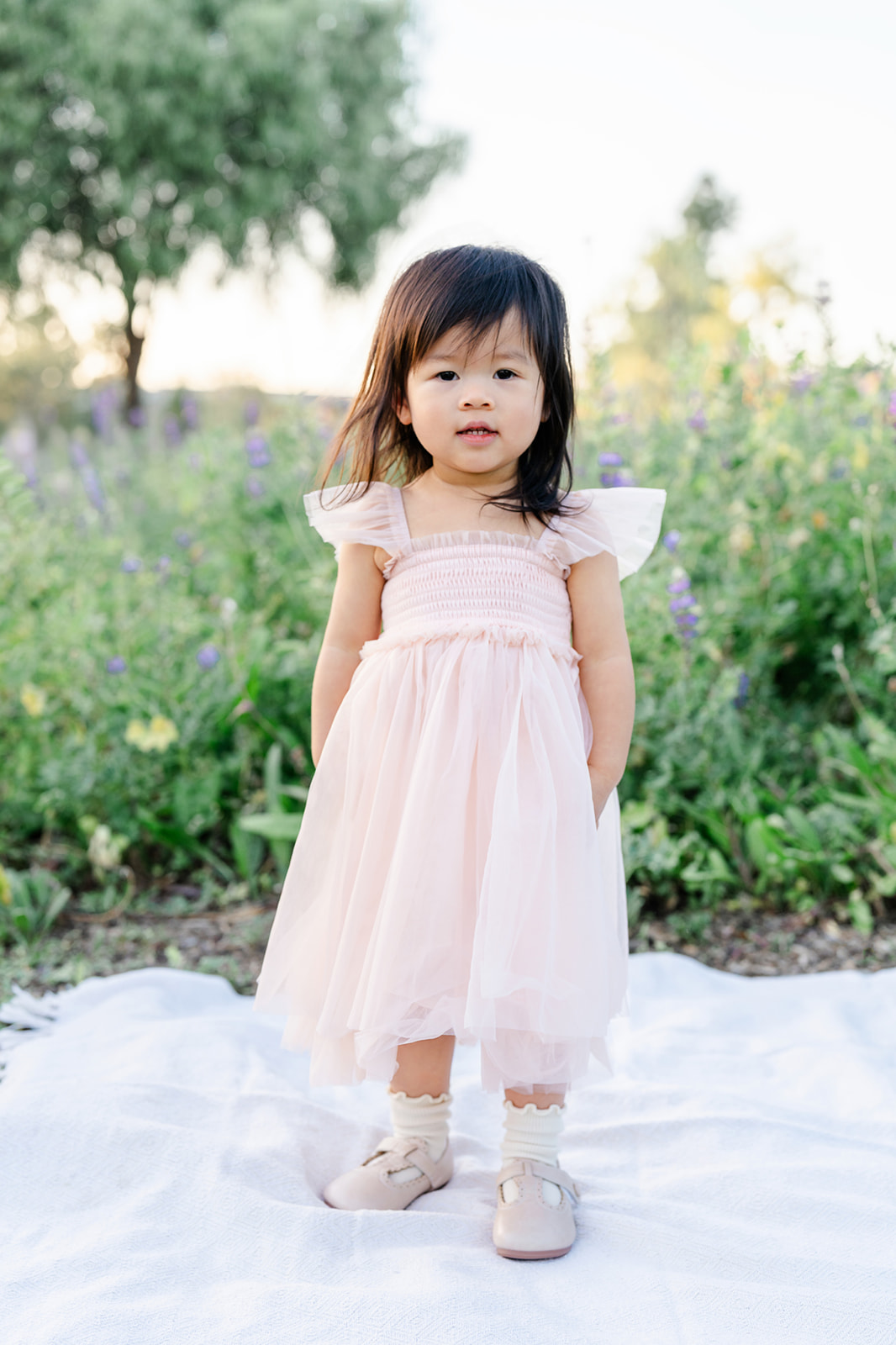 A toddler girl stands on a picnic blanket in a garden wearing a pink dress at sunset